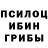 Псилоцибиновые грибы GOLDEN TEACHER Wallace Livanov
