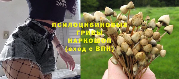 скорость Алексин