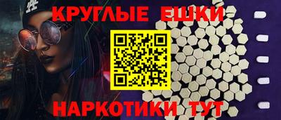 крисы Можга