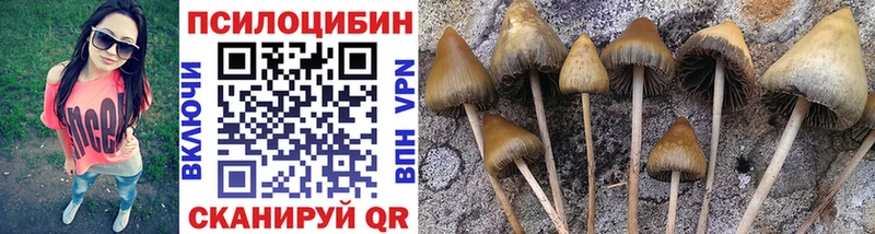 Галлюциногенные грибы GOLDEN TEACHER  Большой Камень 