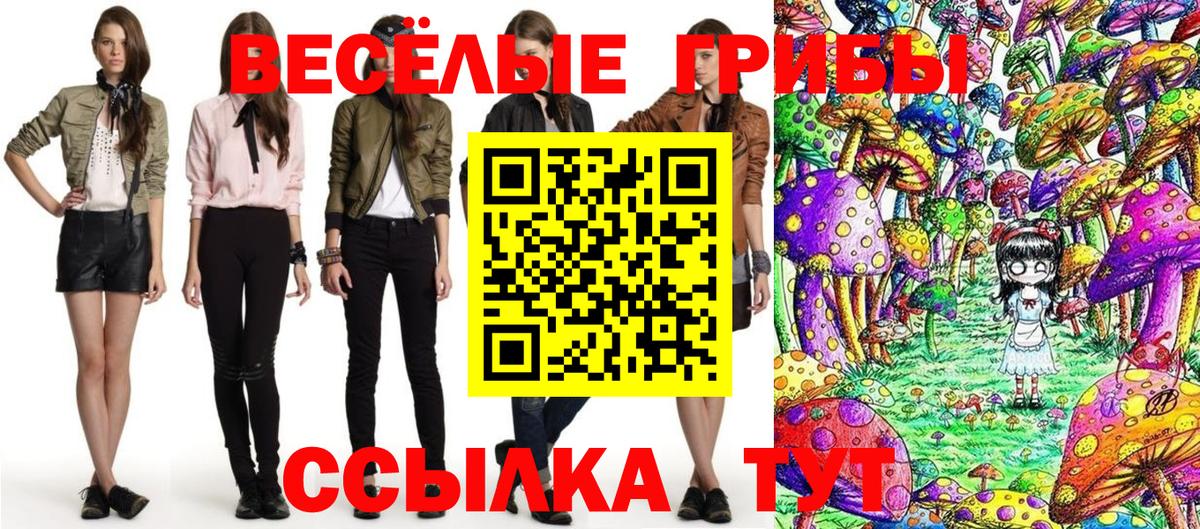 Псилоцибиновые грибы MAGIC MUSHROOMS  Галлюциногенные грибы прущие грибы  Большой Камень  Вход с VPN 